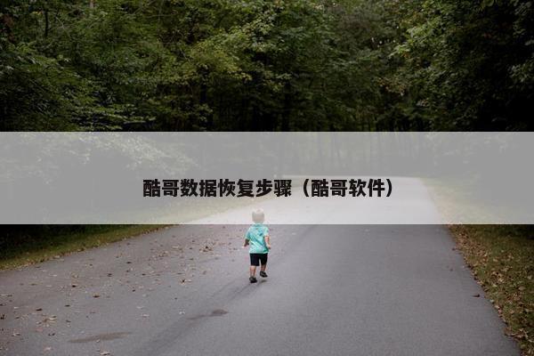 酷哥数据恢复步骤（酷哥软件）
