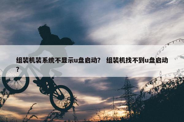 组装机装系统不显示u盘启动？ 组装机找不到u盘启动？