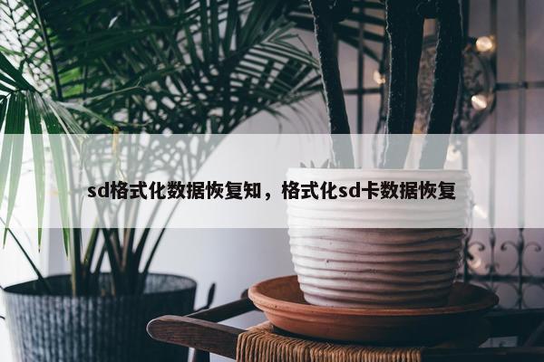 sd格式化数据恢复知，格式化sd卡数据恢复