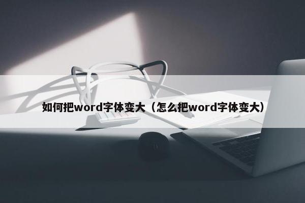 如何把word字体变大（怎么把word字体变大）