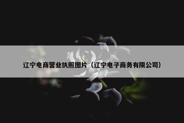 辽宁电商营业执照图片（辽宁电子商务有限公司）