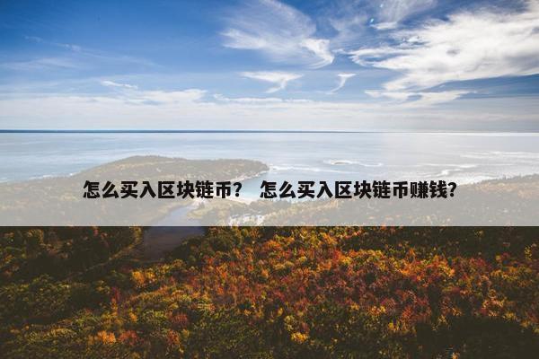 怎么买入区块链币？ 怎么买入区块链币赚钱？