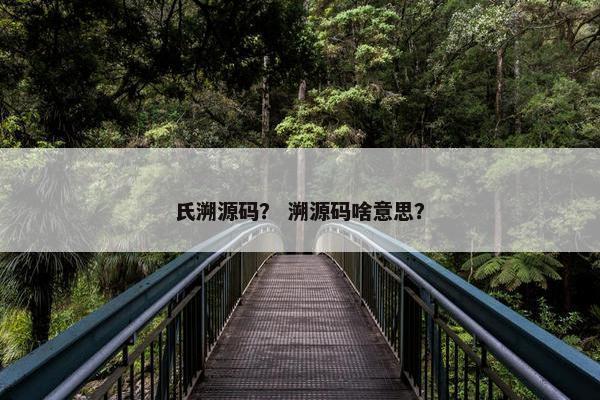 氏溯源码？ 溯源码啥意思？