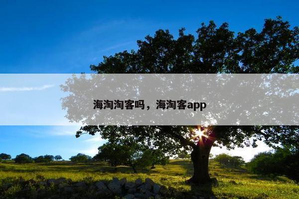 海淘淘客吗，海淘客app