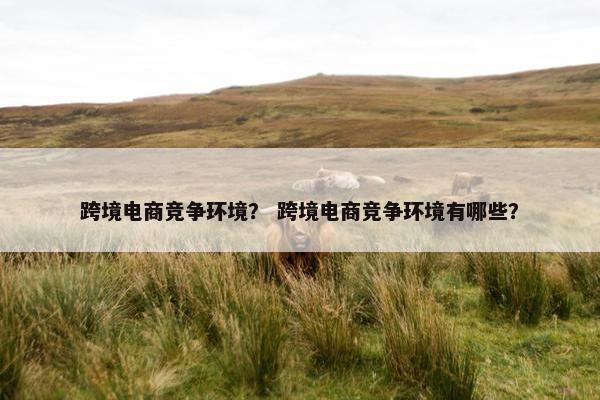 跨境电商竞争环境？ 跨境电商竞争环境有哪些？
