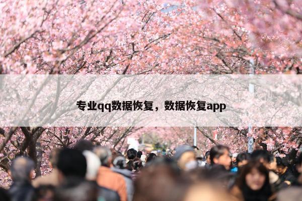 专业qq数据恢复，数据恢复app
