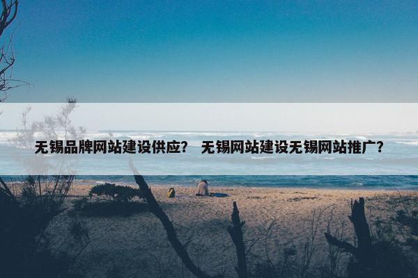 无锡品牌网站建设供应？ 无锡网站建设无锡网站推广？