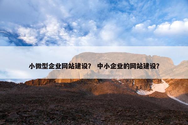 小微型企业网站建设？ 中小企业的网站建设？