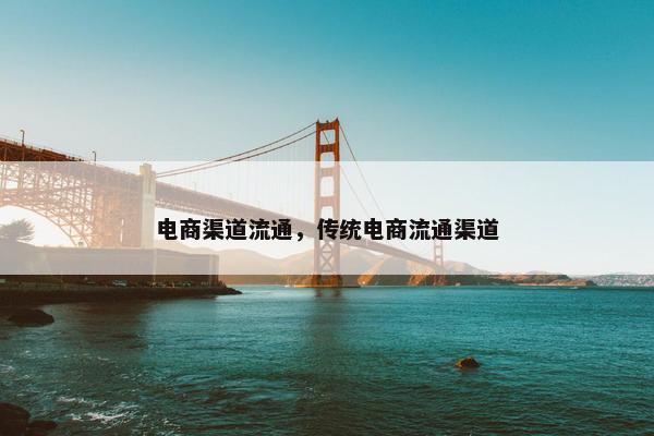电商渠道流通，传统电商流通渠道