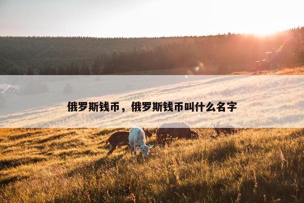 俄罗斯钱币，俄罗斯钱币叫什么名字