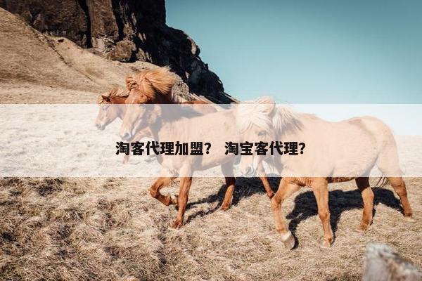淘客代理加盟？ 淘宝客代理？