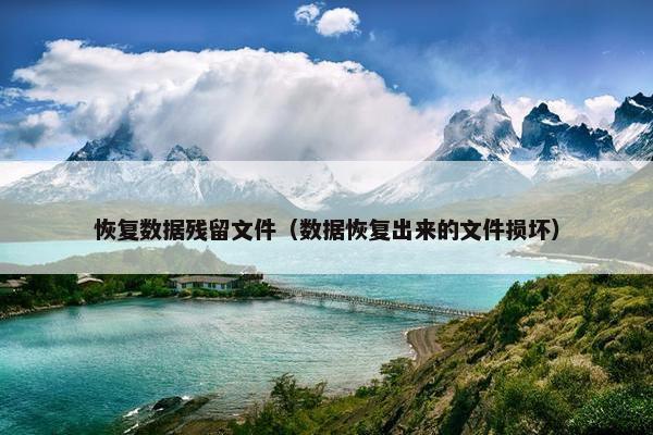 恢复数据残留文件（数据恢复出来的文件损坏）