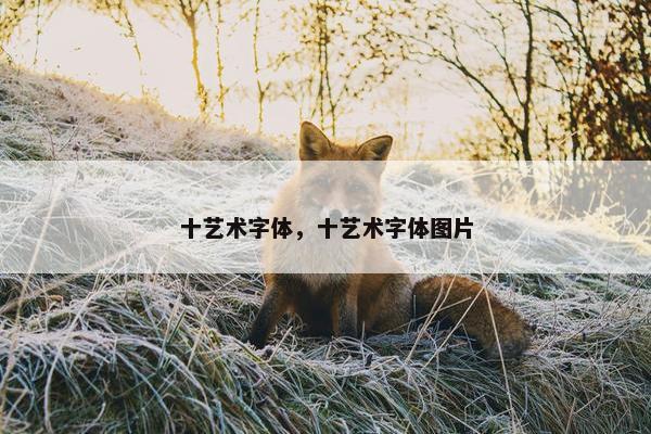 十艺术字体，十艺术字体图片