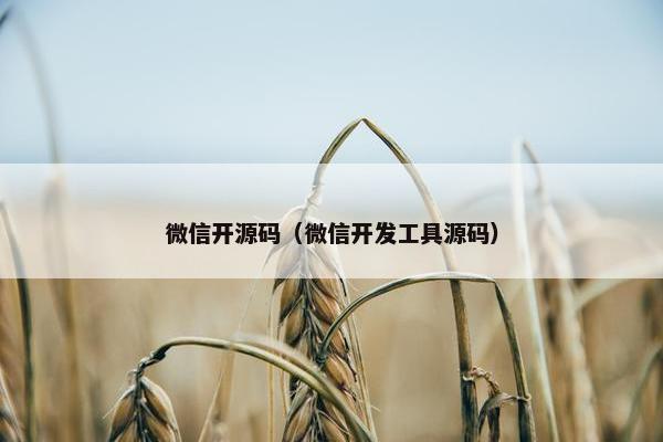 微信开源码（微信开发工具源码）