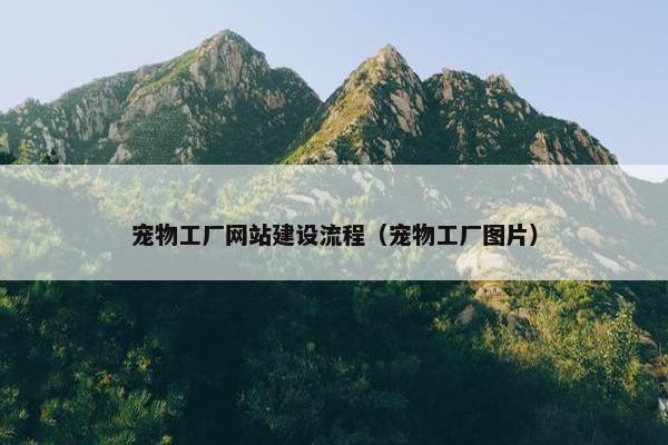 宠物工厂网站建设流程（宠物工厂图片）
