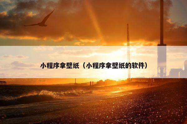 小程序拿壁纸（小程序拿壁纸的软件）