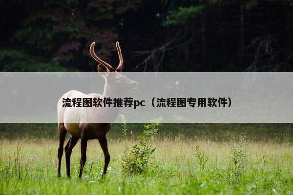 流程图软件推荐pc（流程图专用软件）