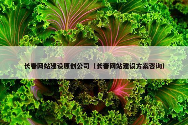长春网站建设原创公司（长春网站建设方案咨询）