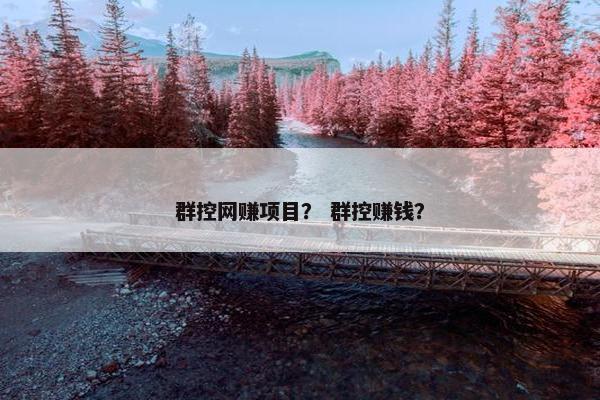群控网赚项目？ 群控赚钱？