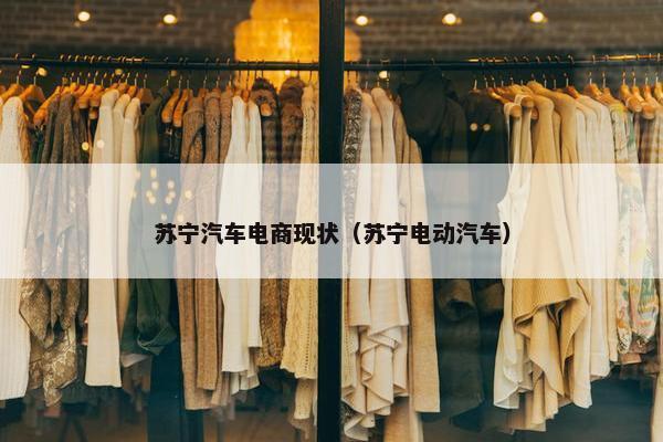 苏宁汽车电商现状（苏宁电动汽车）