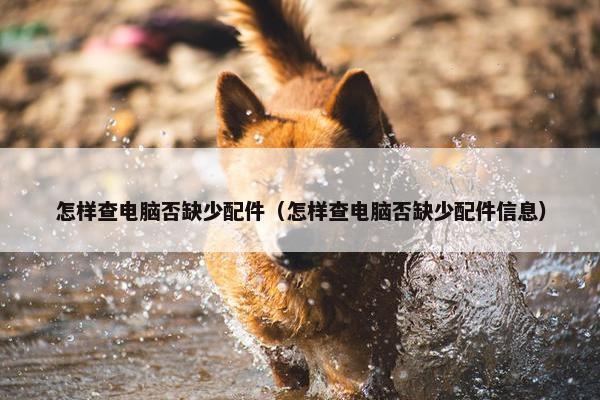怎样查电脑否缺少配件（怎样查电脑否缺少配件信息）