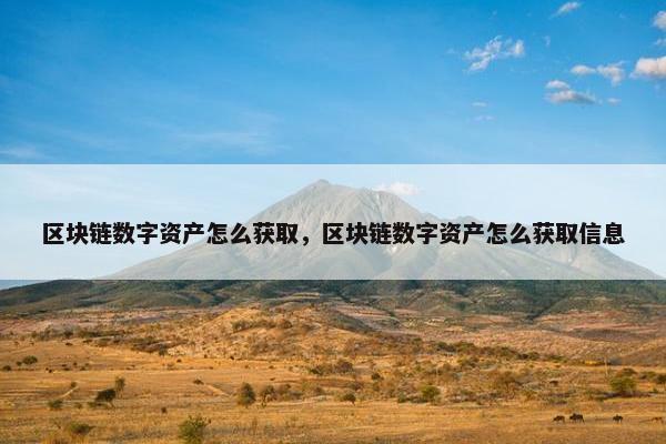 区块链数字资产怎么获取，区块链数字资产怎么获取信息