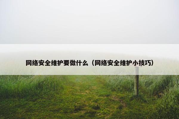 网络安全维护要做什么（网络安全维护小技巧）