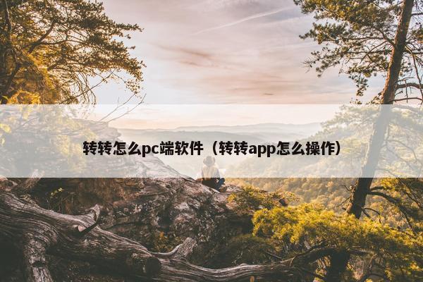 转转怎么pc端软件（转转app怎么操作）