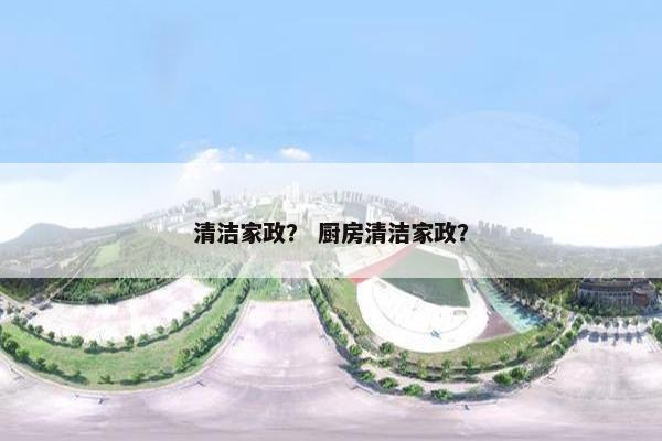 清洁家政？ 厨房清洁家政？