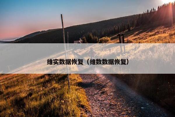 维实数据恢复（维数数据恢复）