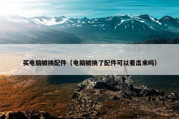 买电脑被换配件（电脑被换了配件可以看出来吗）