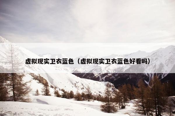 虚拟现实卫衣蓝色（虚拟现实卫衣蓝色好看吗）
