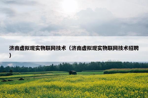 济南虚拟现实物联网技术（济南虚拟现实物联网技术招聘）