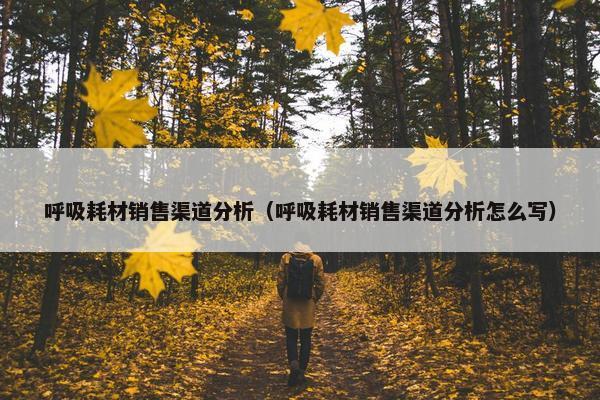 呼吸耗材销售渠道分析（呼吸耗材销售渠道分析怎么写）