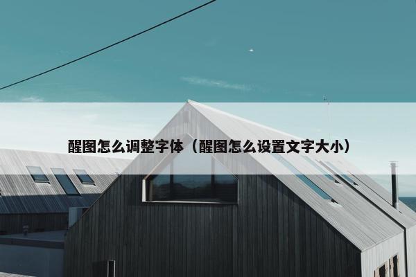 醒图怎么调整字体（醒图怎么设置文字大小）