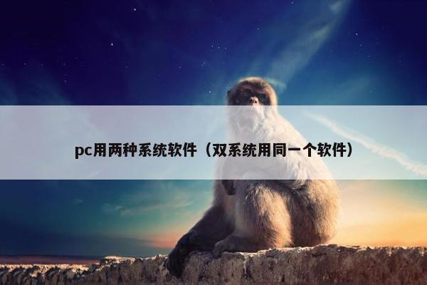 pc用两种系统软件（双系统用同一个软件）