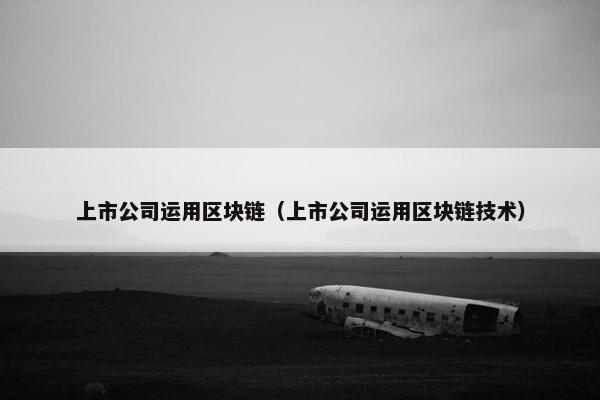 上市公司运用区块链（上市公司运用区块链技术）