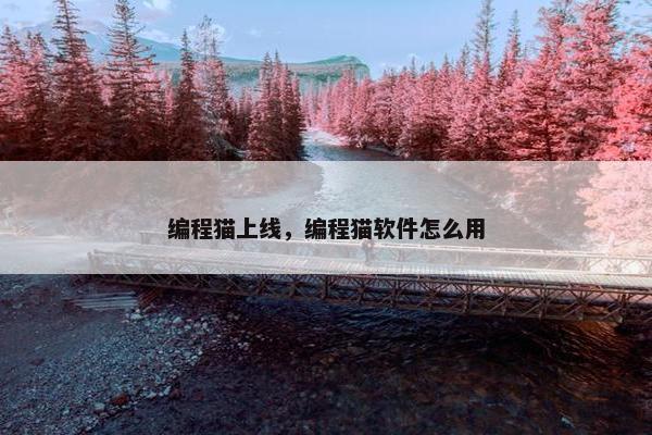 编程猫上线，编程猫软件怎么用