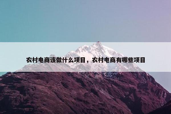 农村电商该做什么项目，农村电商有哪些项目