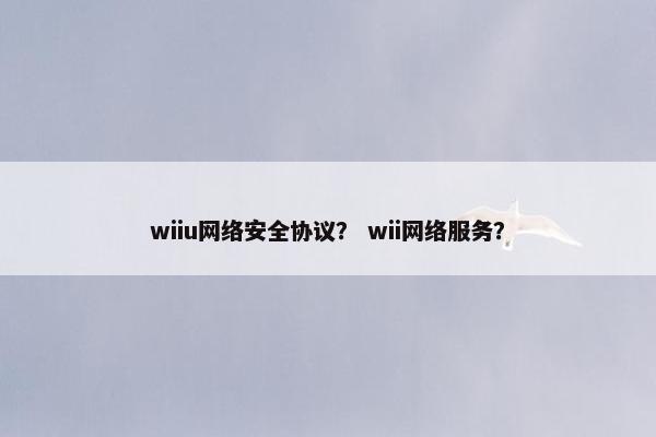 wiiu网络安全协议？ wii网络服务？