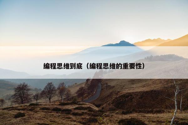 编程思维到底（编程思维的重要性）