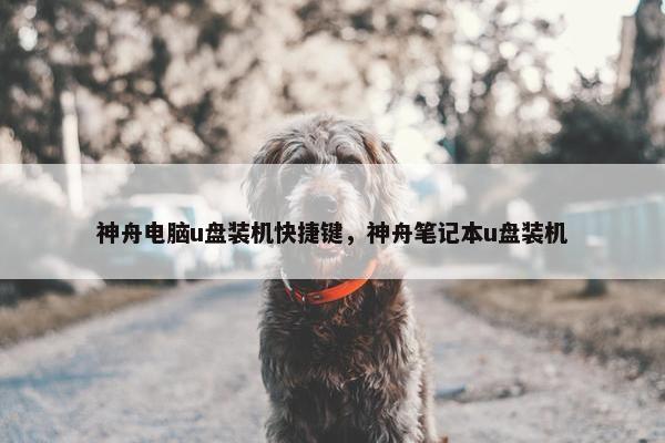 神舟电脑u盘装机快捷键，神舟笔记本u盘装机