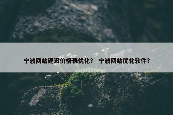 宁波网站建设价格表优化？ 宁波网站优化软件？