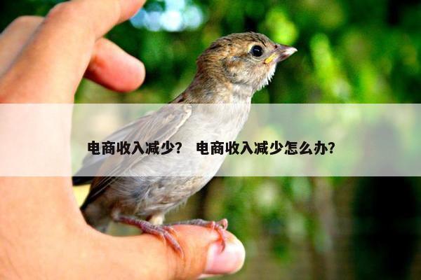 电商收入减少？ 电商收入减少怎么办？