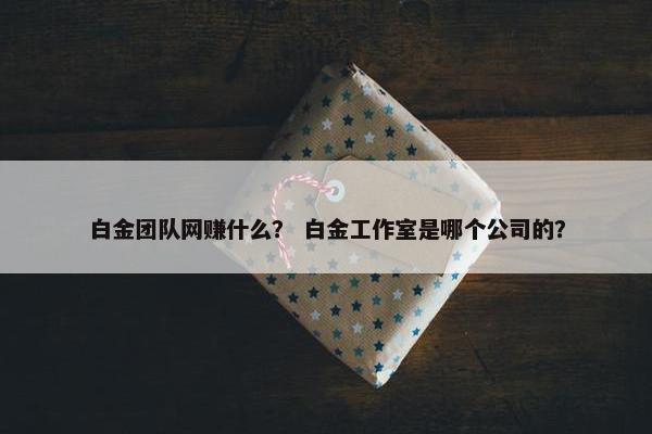 白金团队网赚什么？ 白金工作室是哪个公司的？