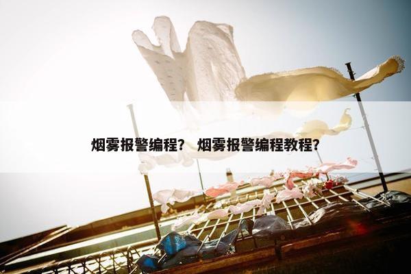 烟雾报警编程？ 烟雾报警编程教程？