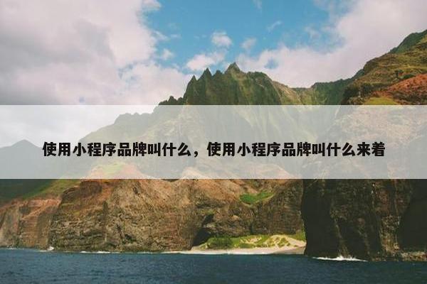 使用小程序品牌叫什么，使用小程序品牌叫什么来着