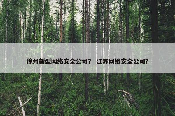 徐州新型网络安全公司？ 江苏网络安全公司？