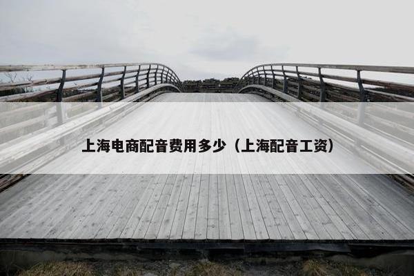 上海电商配音费用多少（上海配音工资）
