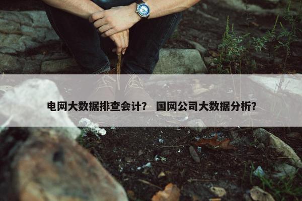 电网大数据排查会计？ 国网公司大数据分析？